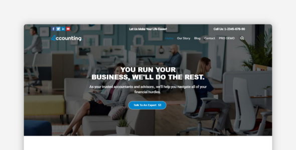 Accounting (TallyThemes)