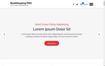 Bookkeeping Pro (screenshot desktop)