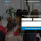 Business Coach Pro (TallyThemes)