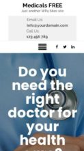 Medicals (TallyThemes) - (screenshot mobile)