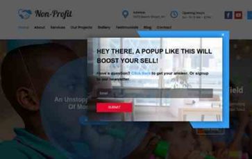 Nonprofit Pro (screenshot desktop)