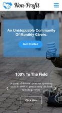 Nonprofit Pro (screenshot mobile)