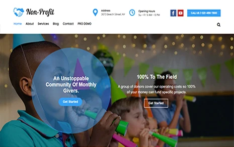 Nonprofit (TallyThemes)