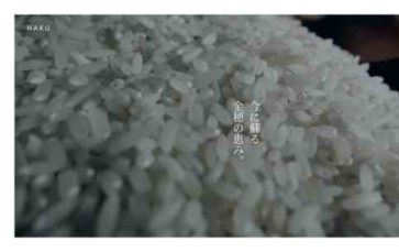 Haku (screenshot desktop)