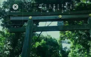 Mikado (TCD) - (screenshot desktop)