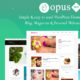 Opus Blog Plus (Template Sell)