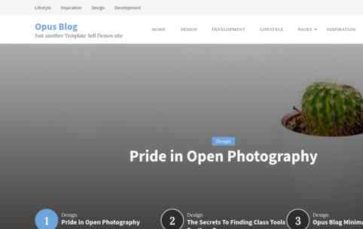 Opus Blog Plus (screenshot desktop)