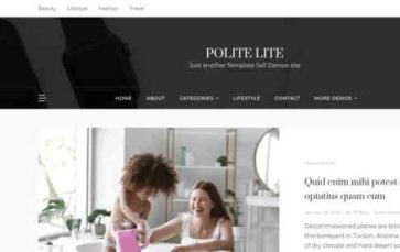 Polite Lite (screenshot desktop)