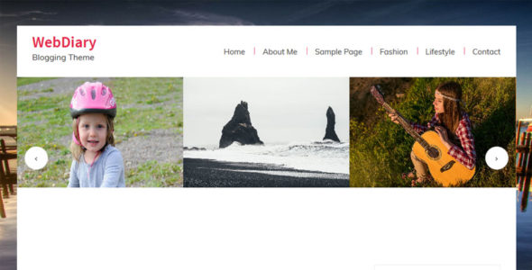 WebDiary (Template Sell)