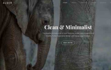 Alder (TreeThemes) (screenshot desktop)