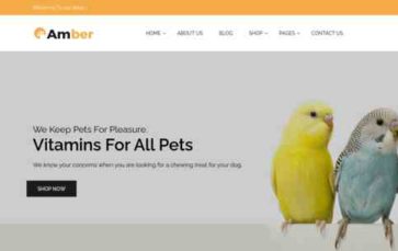 Amber (HasThemes) (screenshot desktop)