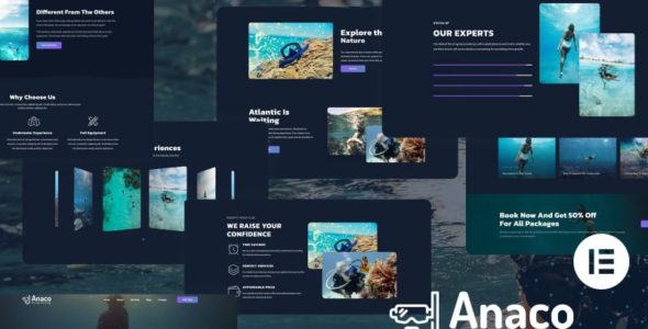 Anaco (TemplateMonster)