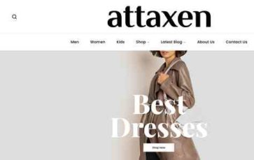Attaxen (screenshot desktop)