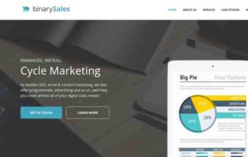 BinarySales (screenshot desktop)