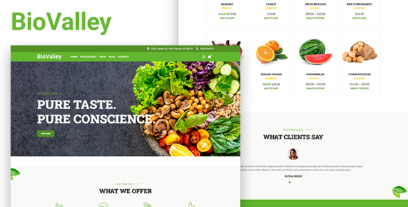 BioValley (TemplateMonster)