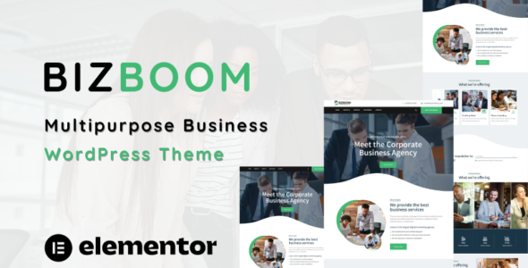 Bizboom (TemplateMonster)
