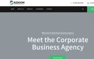 Bizboom (screenshot desktop)