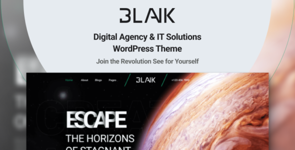 Blank (TemplateMonster)