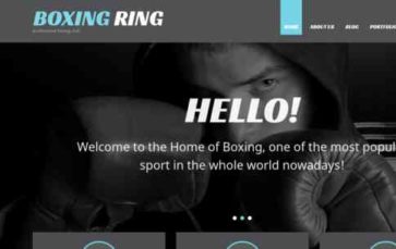 BoxingRing (screenshot desktop)