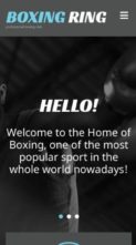BoxingRing (screenshot mobile)