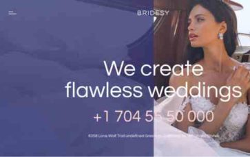 Bridesy (screenshot desktop)