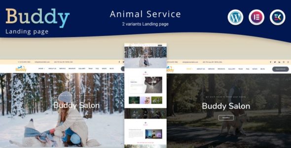 Buddy (TemplateMonster)