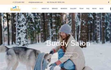 Buddy (LT) - (screenshot desktop)