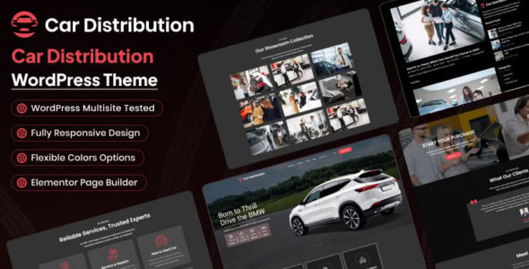 Car Distribution (TemplateMonster)