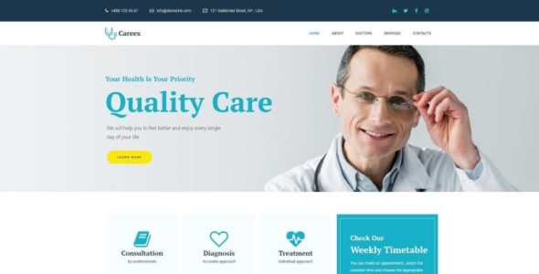 Careex (TemplateMonster)