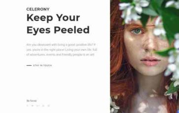 Celerony (screenshot desktop)