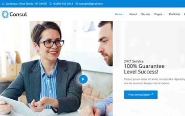 Consul (wpdream) - (screenshot desktop)