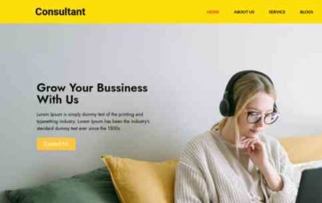 Consultant (ATTSoftware) (screenshot desktop)