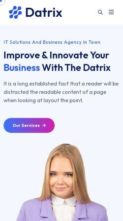 Datrix (screenshot mobile)