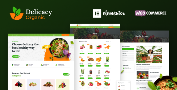 Delicacy Organic (TemplateMonster)