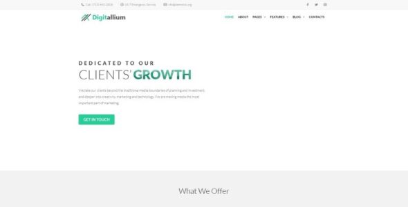 Digitallium (TemplateMonster)