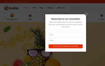 Ecolite (screenshot desktop)