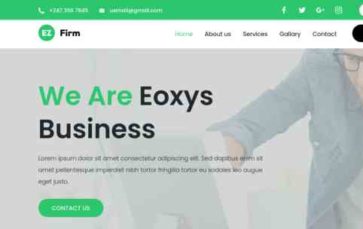 EZ-Firm (screenshot desktop)