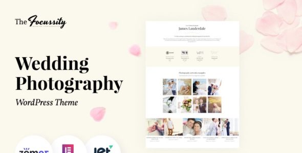 Focussity (TemplateMonster)