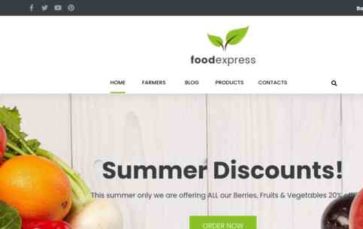 Foodexpress (screenshot desktop)