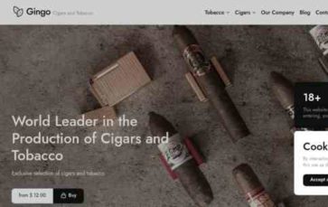 Gingo (screenshot desktop)