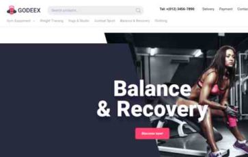 Godeex (screenshot desktop)