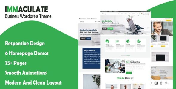 Immaculate Business (TemplateMonster)