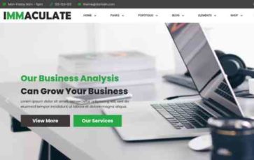 Immaculate Business (screenshot desktop)