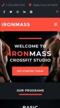 IronMass (screenshot mobile)