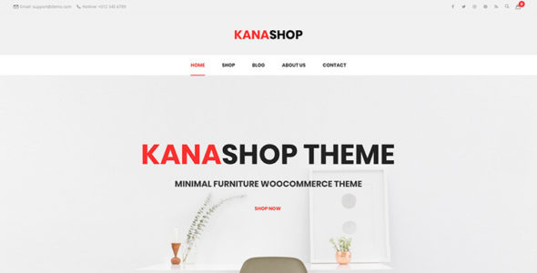 Kanashop (TemplateMonster)