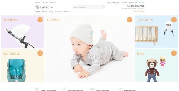 Leisum (TemplateMonster)