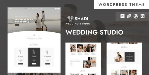 Lois (TemplateMonster)