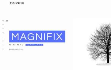 Magnifix (screenshot desktop)