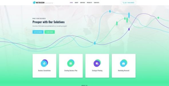 Metricon (TemplateMonster)