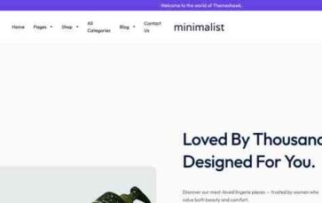 Minimalist (ThemesHawk) - (screenshot desktop)